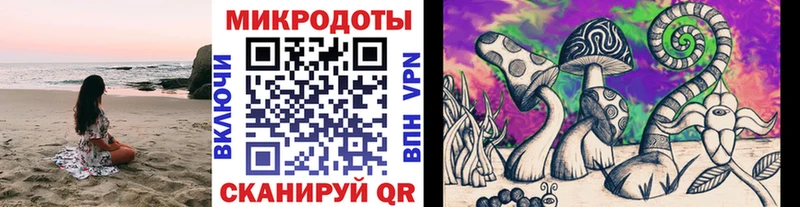 Купить где  Новороссийск  Псилоцибиновые грибы GOLDEN TEACHER 